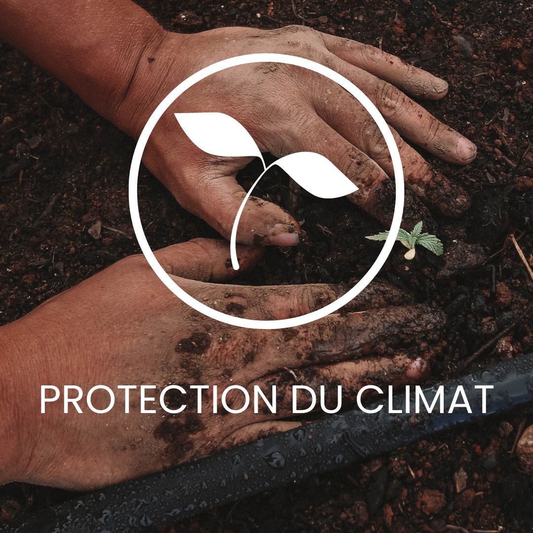 protection climat ortovox