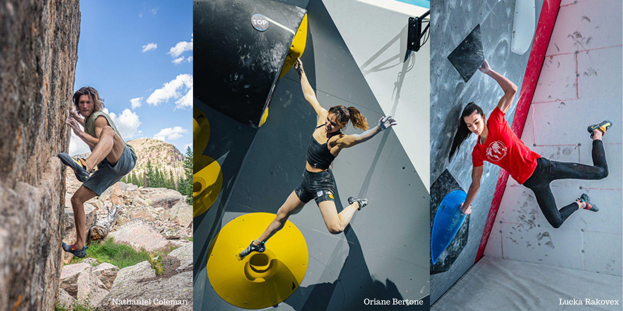 drago scarpa